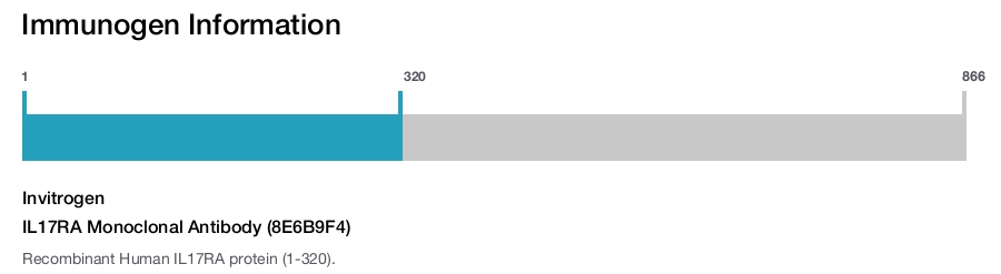 IL17RA Monoclonal Antibody (8E6B9F4)