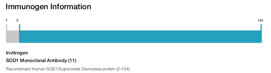 SOD1 Monoclonal Antibody (11)