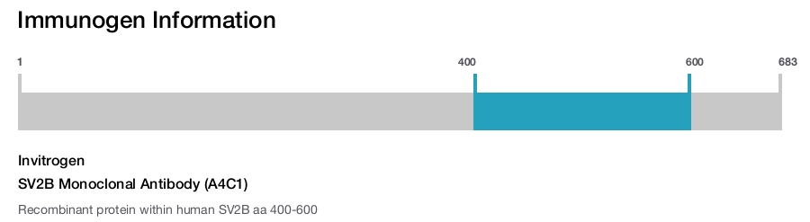 SV2B Monoclonal Antibody (A4C1)