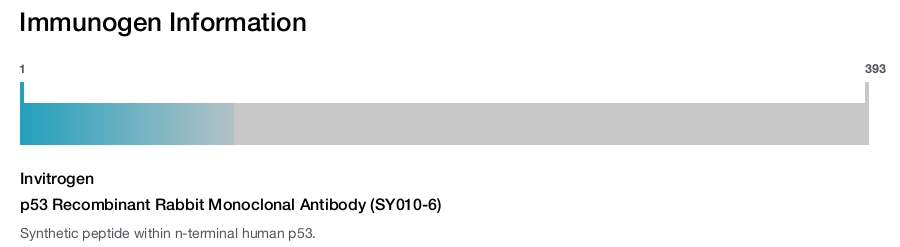 p53 Recombinant Rabbit Monoclonal Antibody (SY010-6)
