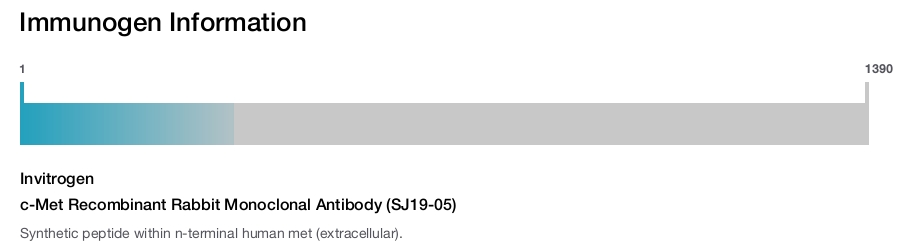 c-Met Recombinant Rabbit Monoclonal Antibody (SJ19-05)