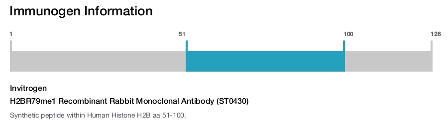 H2BR79me1 Recombinant Rabbit Monoclonal Antibody (ST0430)