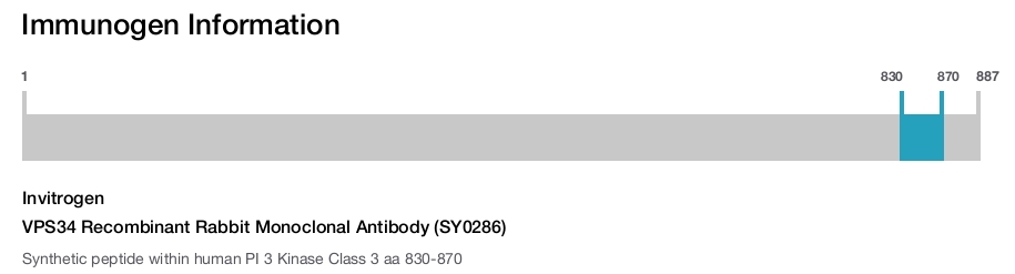 VPS34 Recombinant Rabbit Monoclonal Antibody (SY0286)