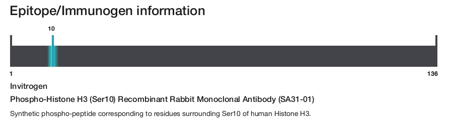 Phospho-Histone H3 (Ser10) Recombinant Rabbit Monoclonal Antibody (SA31-01)