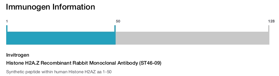 Histone H2A.Z Recombinant Rabbit Monoclonal Antibody (ST46-09)