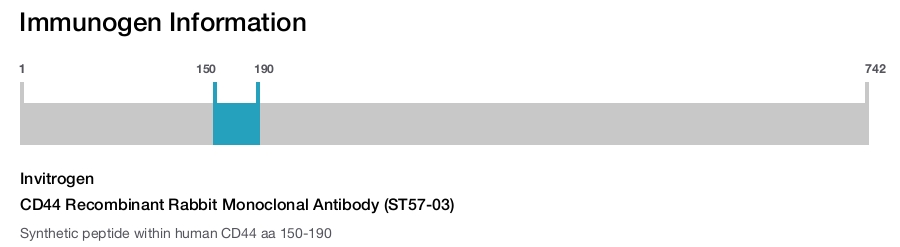 CD44 Recombinant Rabbit Monoclonal Antibody (ST57-03)