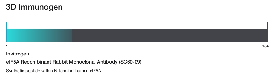 eIF5A Recombinant Rabbit Monoclonal Antibody (SC60-09)