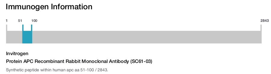 Protein APC Recombinant Rabbit Monoclonal Antibody (SC61-03)