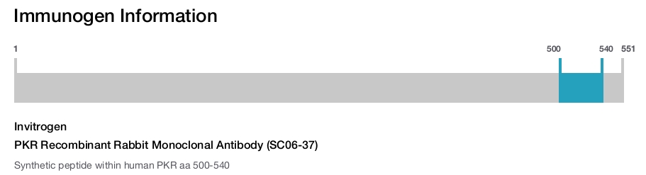 PKR Recombinant Rabbit Monoclonal Antibody (SC06-37)