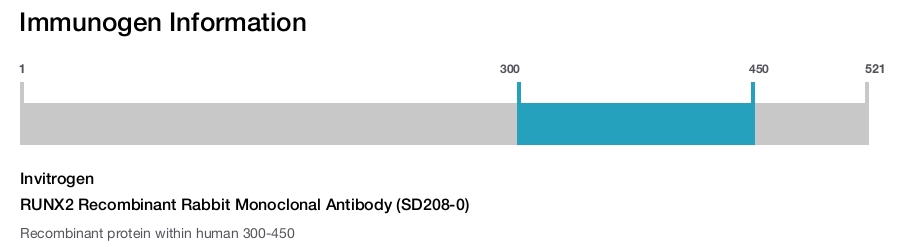 RUNX2 Recombinant Rabbit Monoclonal Antibody (SD208-0)