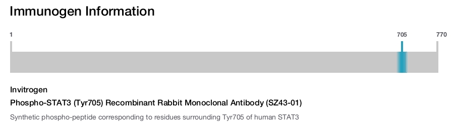 Phospho-STAT3 (Tyr705) Recombinant Rabbit Monoclonal Antibody (SZ43-01)