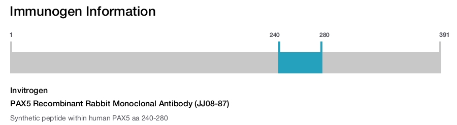 PAX5 Recombinant Rabbit Monoclonal Antibody (JJ08-87)