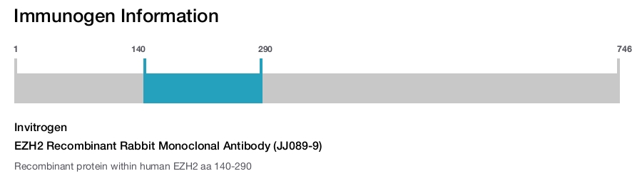 EZH2 Recombinant Rabbit Monoclonal Antibody (JJ089-9)
