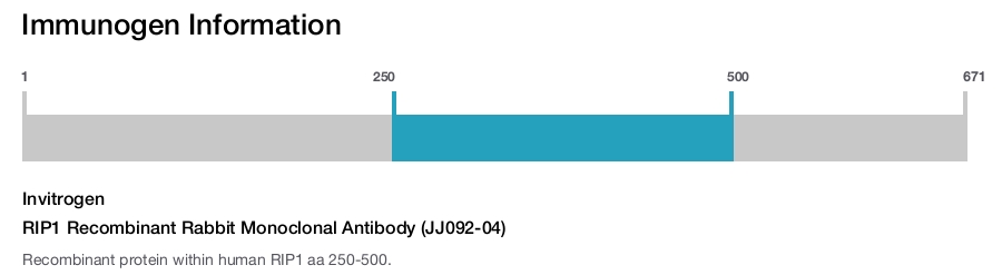RIP1 Recombinant Rabbit Monoclonal Antibody (JJ092-04)