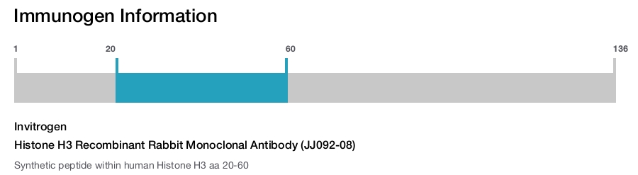 Histone H3 Recombinant Rabbit Monoclonal Antibody (JJ092-08)