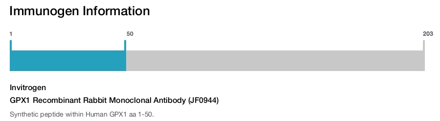 GPX1 Recombinant Rabbit Monoclonal Antibody (JF0944)