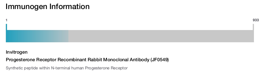 Progesterone Receptor Recombinant Rabbit Monoclonal Antibody (JF0549)