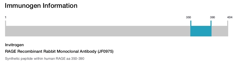RAGE Recombinant Rabbit Monoclonal Antibody (JF0975)