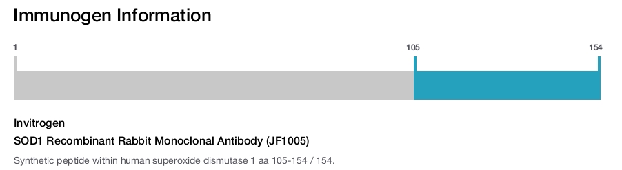 SOD1 Recombinant Rabbit Monoclonal Antibody (JF1005)