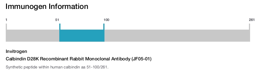 Calbindin D28K Recombinant Rabbit Monoclonal Antibody (JF05-01)