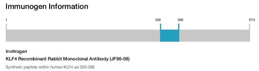 KLF4 Recombinant Rabbit Monoclonal Antibody (JF98-08)