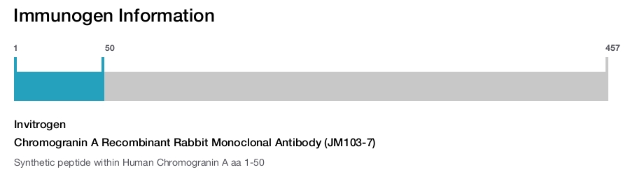Chromogranin A Recombinant Rabbit Monoclonal Antibody (JM103-7)