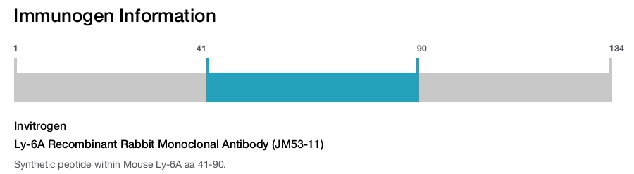 Ly-6A Recombinant Rabbit Monoclonal Antibody (JM53-11)