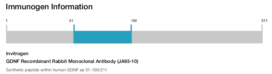 GDNF Recombinant Rabbit Monoclonal Antibody (JA93-10)