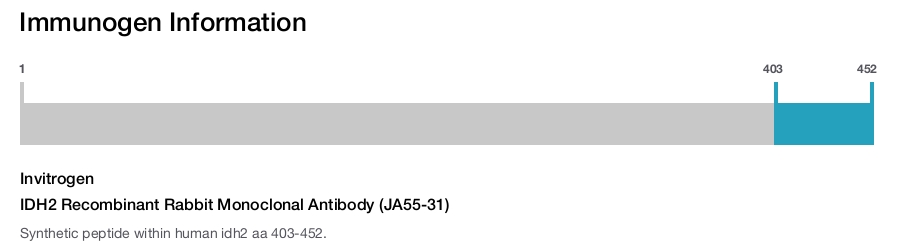 IDH2 Recombinant Rabbit Monoclonal Antibody (JA55-31)