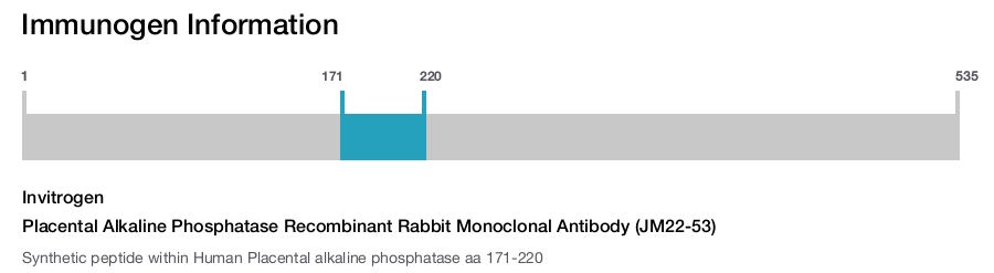Placental Alkaline Phosphatase Recombinant Rabbit Monoclonal Antibody (JM22-53)