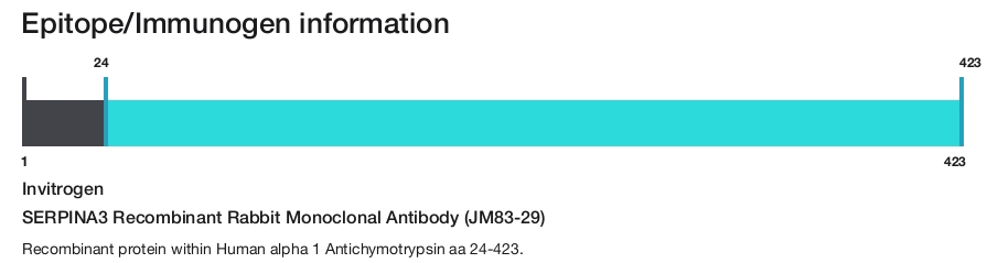 SERPINA3 Recombinant Rabbit Monoclonal Antibody (JM83-29)