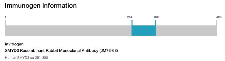 SMYD3 Recombinant Rabbit Monoclonal Antibody (JM73-63)