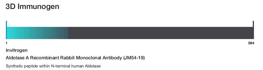 Aldolase A Recombinant Rabbit Monoclonal Antibody (JM54-19)