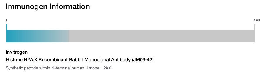 Histone H2A.X Recombinant Rabbit Monoclonal Antibody (JM06-42)
