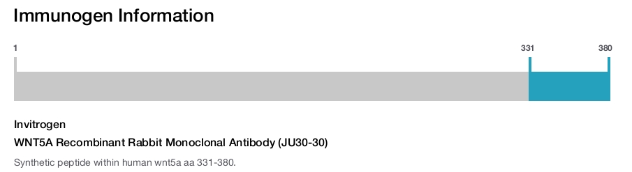 WNT5A Recombinant Rabbit Monoclonal Antibody (JU30-30)