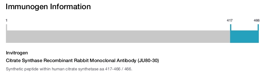 Citrate Synthase Recombinant Rabbit Monoclonal Antibody (JU80-30)