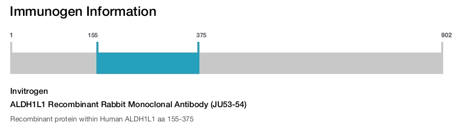 ALDH1L1 Recombinant Rabbit Monoclonal Antibody (JU53-54)