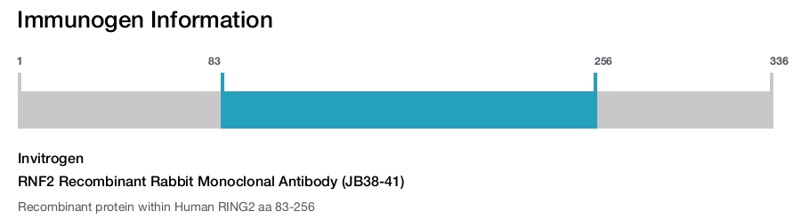 RNF2 Recombinant Rabbit Monoclonal Antibody (JB38-41)