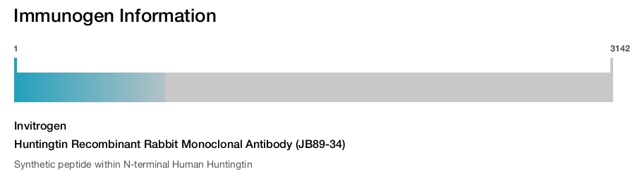 Huntingtin Recombinant Rabbit Monoclonal Antibody (JB89-34)