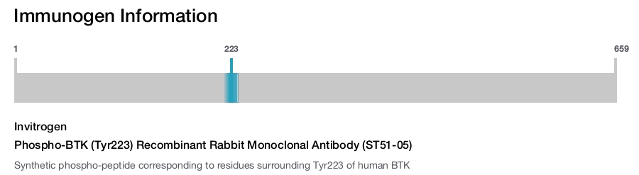 Phospho-BTK (Tyr223) Recombinant Rabbit Monoclonal Antibody (ST51-05)