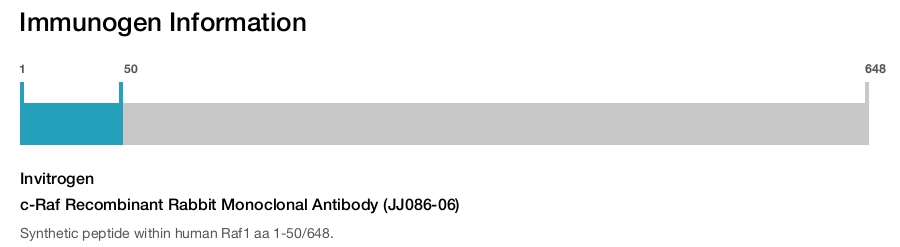c-Raf Recombinant Rabbit Monoclonal Antibody (JJ086-06)