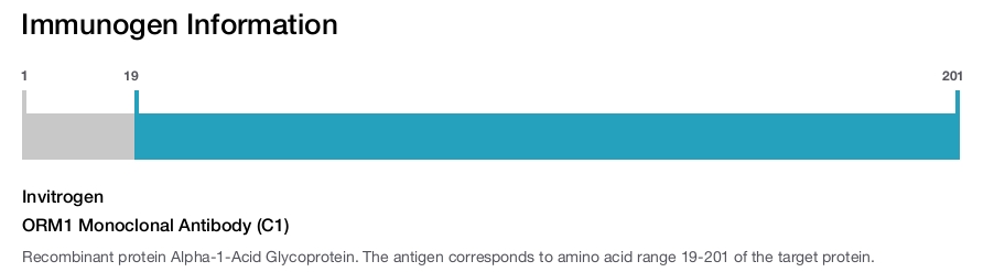 ORM1 Monoclonal Antibody (C1)