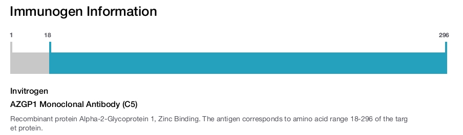 AZGP1 Monoclonal Antibody (C5)