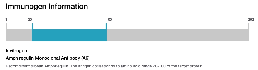 Amphiregulin Monoclonal Antibody (A6)