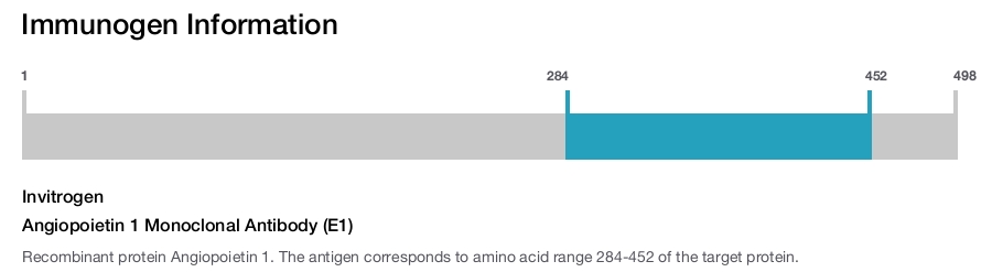Angiopoietin 1 Monoclonal Antibody (E1)