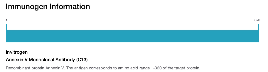 Annexin V Monoclonal Antibody (C13)