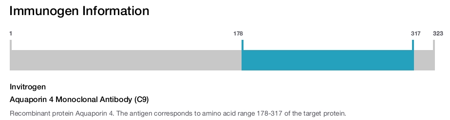 Aquaporin 4 Monoclonal Antibody (C9)