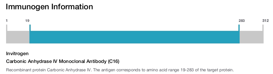 Carbonic Anhydrase IV Monoclonal Antibody (C16)
