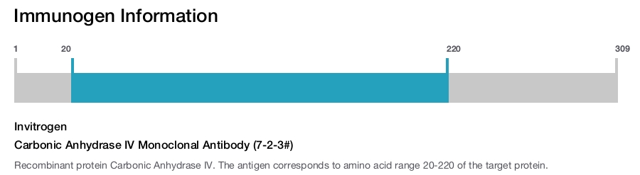 Carbonic Anhydrase IV Monoclonal Antibody (7-2-3#)
