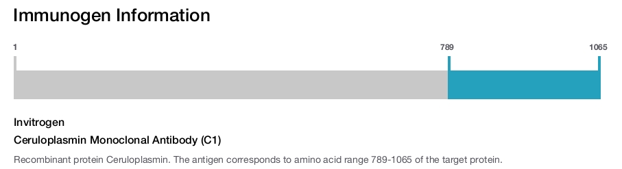 Ceruloplasmin Monoclonal Antibody (C1)